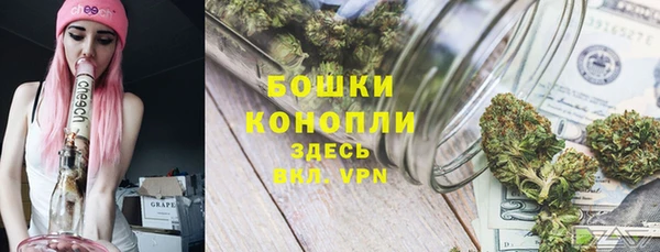 гидропоника Калининец