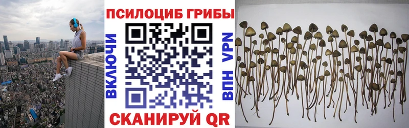 OMG сайт  Эртиль  Псилоцибиновые грибы Magic Shrooms 